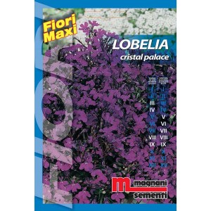 Confezione di semi di Lobelia 'Cristal Palace' con fiori viola, adatta per aiuole.