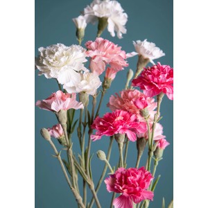 Fiori finti: Garofani bianchi, rosa e fucsia come decorazione.