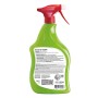 Spray Olio di Neem pronto uso 1 l_2