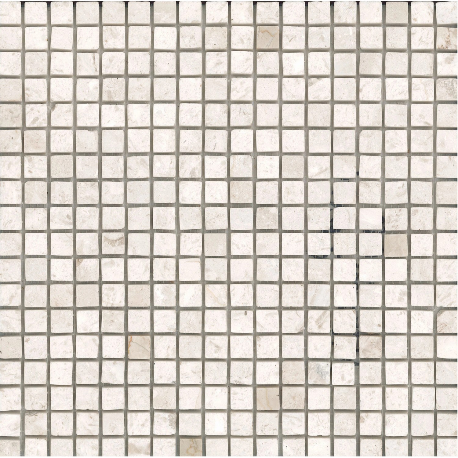 4 Protezioni Quadrate Per Piante Da Animali: 30,5x30,5 Cm, Gabbie In Metallo Con Maglia Fine 1,5 Cm, Per Proteggere Verdure E Fiori Da Conigli, Polli E Scoiattoli, Colore Nero