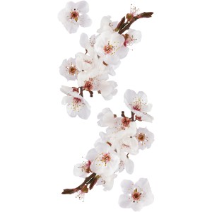 Adesivo da parete con rami di fiori di ciliegio, fiori decorativi per la decorazione della parete.