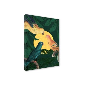 Canvas 30x40 cm set birds - parrots