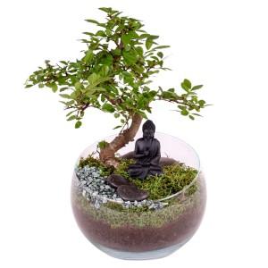 Decorazione da tavolo: Bonsai in vetro con statuetta di Buddha, pietre e muschio. Composizione di piante da interno per un'atmosfera rilassata.