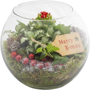 Composizione natalizia di piante in vetro con fiore rosso, pigne e decorazioni.