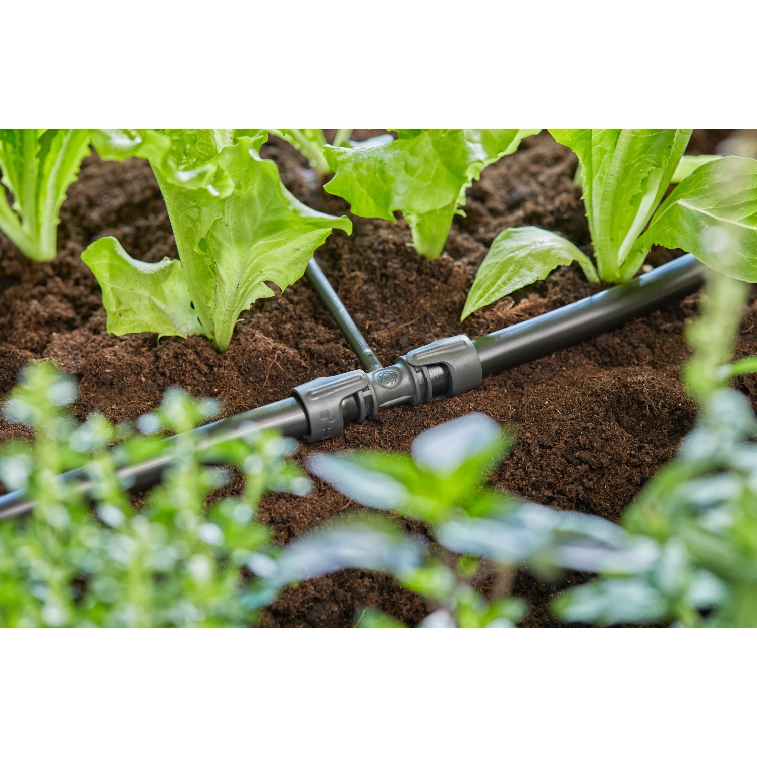 t.b.t. per irrigazione interrata in giardino.