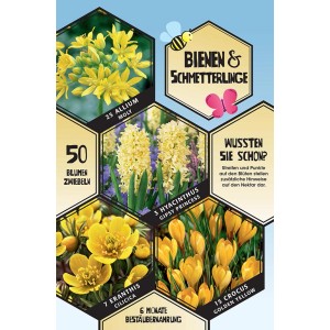 Mix di bulbi da fiore gialli per api e farfalle, 50 pezzi. Fioritura primaverile per aiuole e naturalizzazione.