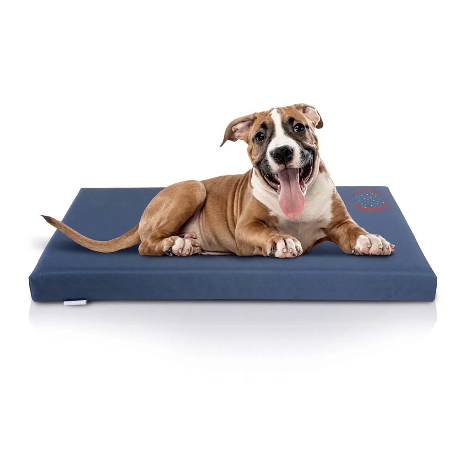 Cane rilassato su cuscino blu t.b.t. per cani. Comodo letto per cani per la casa.