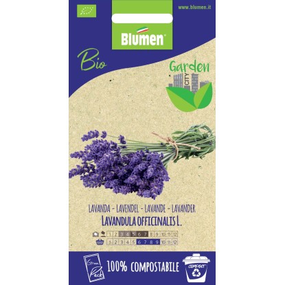 Semi Lavanda Officinalis