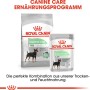 Royal Canin Digestive Care Mini: Alimento secco e umido per cani di piccola taglia con problemi digestivi.