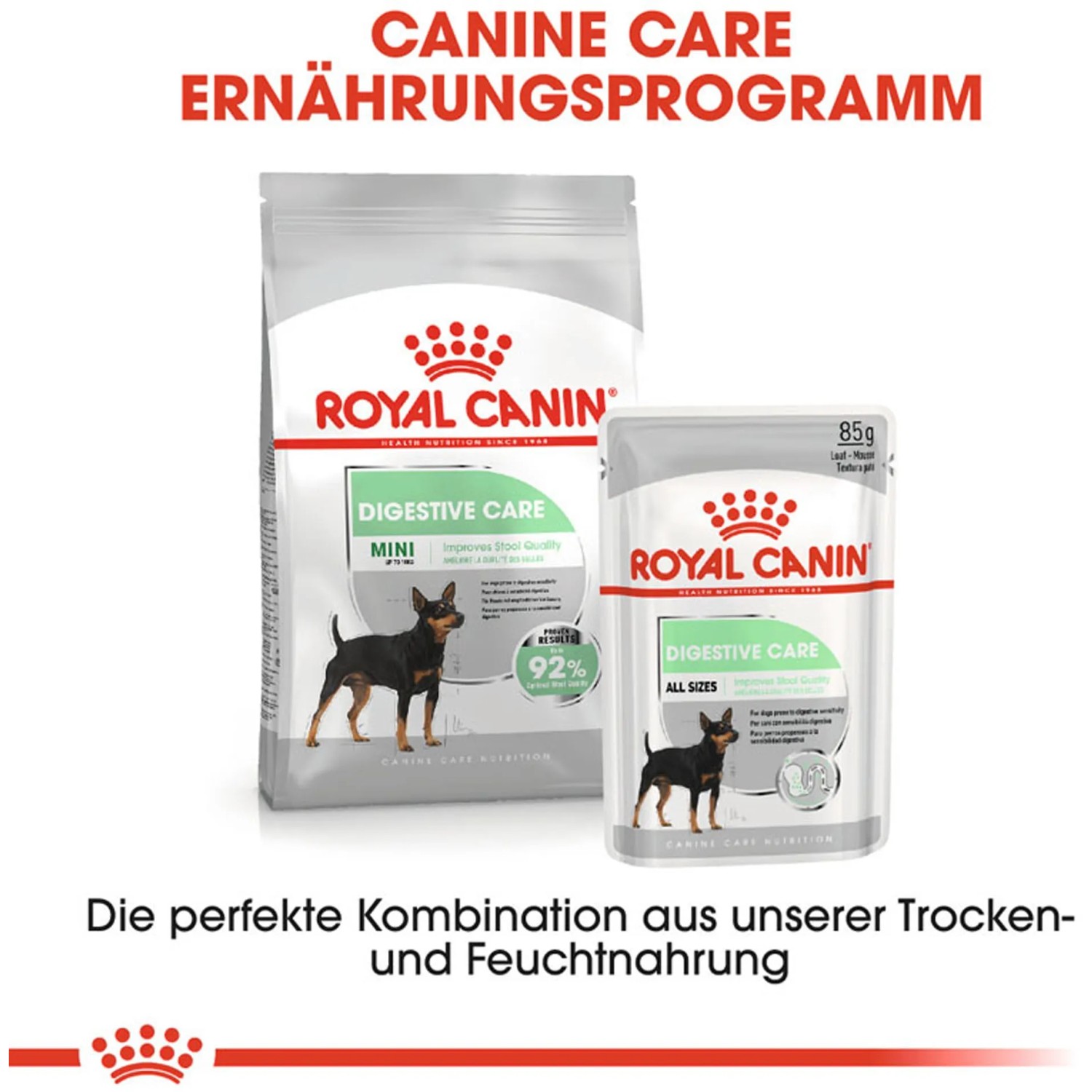 Royal Canin Digestive Care Mini: Alimento secco e umido per cani di piccola taglia con problemi digestivi.
