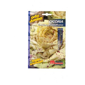 Confezione di semi per 'Cichoria Variegata di Castelfranco' (Radicchio) di Magnani Sementi.