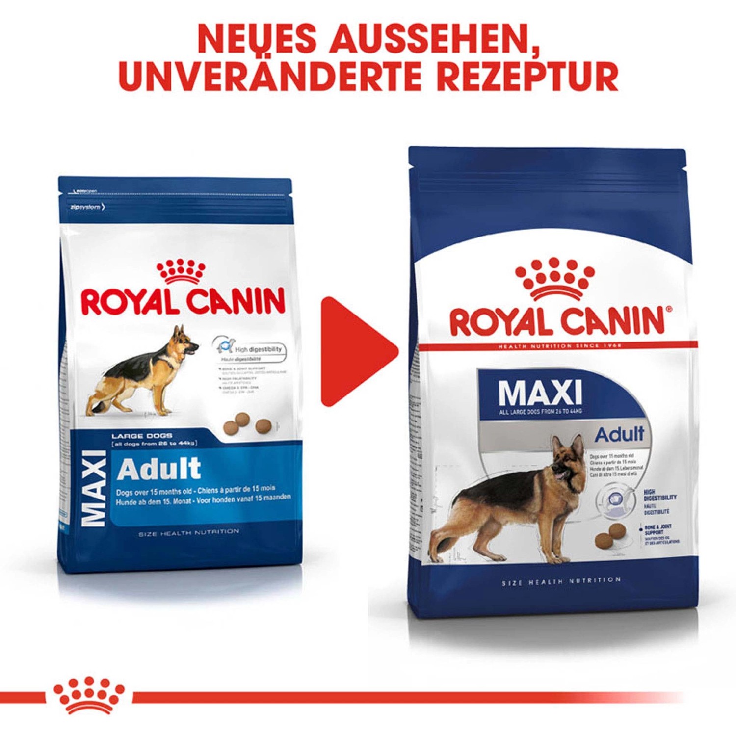 Royal Canin Maxi Adult cibo secco per cani di taglia grande, confezione da 15 kg.