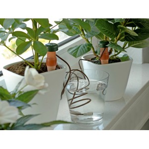 Sistema di irrigazione automatico per piante da interno con cono di argilla e bicchiere d'acqua.