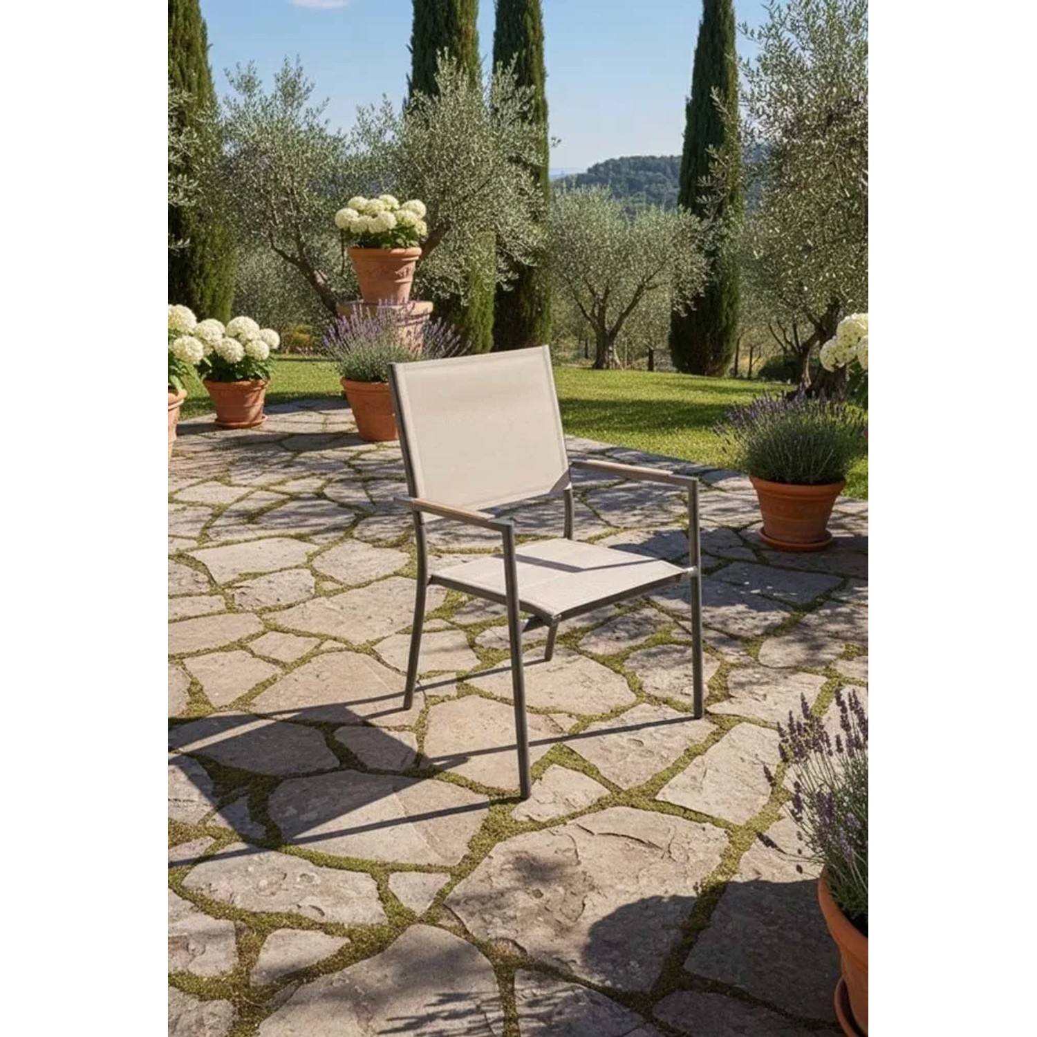 Sedia da giardino con braccioli in alluminio Lillà beige 6 pz_3
