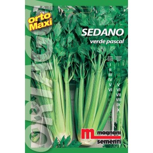 Confezione di semi di sedano 'Verde Pascal' per la coltivazione di ortaggi in giardino.