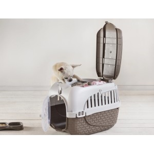 Cane chiaro che guarda dentro un trasportino aperto per cani marrone e bianco. Ciotola accanto.