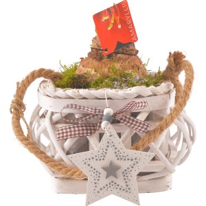Composizione natalizia con Amaryllis rossa in cesto bianco con ciondolo a stella.