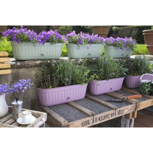 Fioriere da esterno t.b.t. in plastica di vari colori, piantate con fiori ed erbe aromatiche.