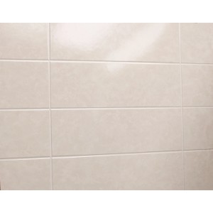 Piastrelle t.b.t. rettangolari chiare come paraschizzi.