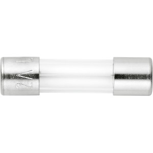 Fusibile fine 2A, rapido, in vetro con estremità argentate, per protezione dispositivi elettrici.