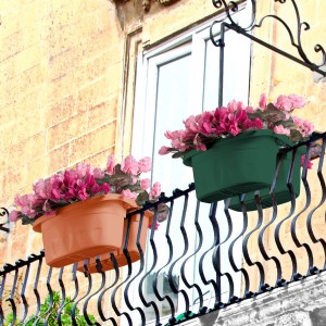 Fioriera da balcone con fiori rosa, vari colori.