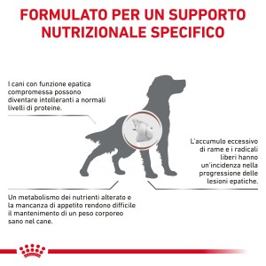 Illustrazione per t.b.t. cibo per cani: Silhouette di cane con informazioni su funzione epatica e assorbimento dei nutrienti.