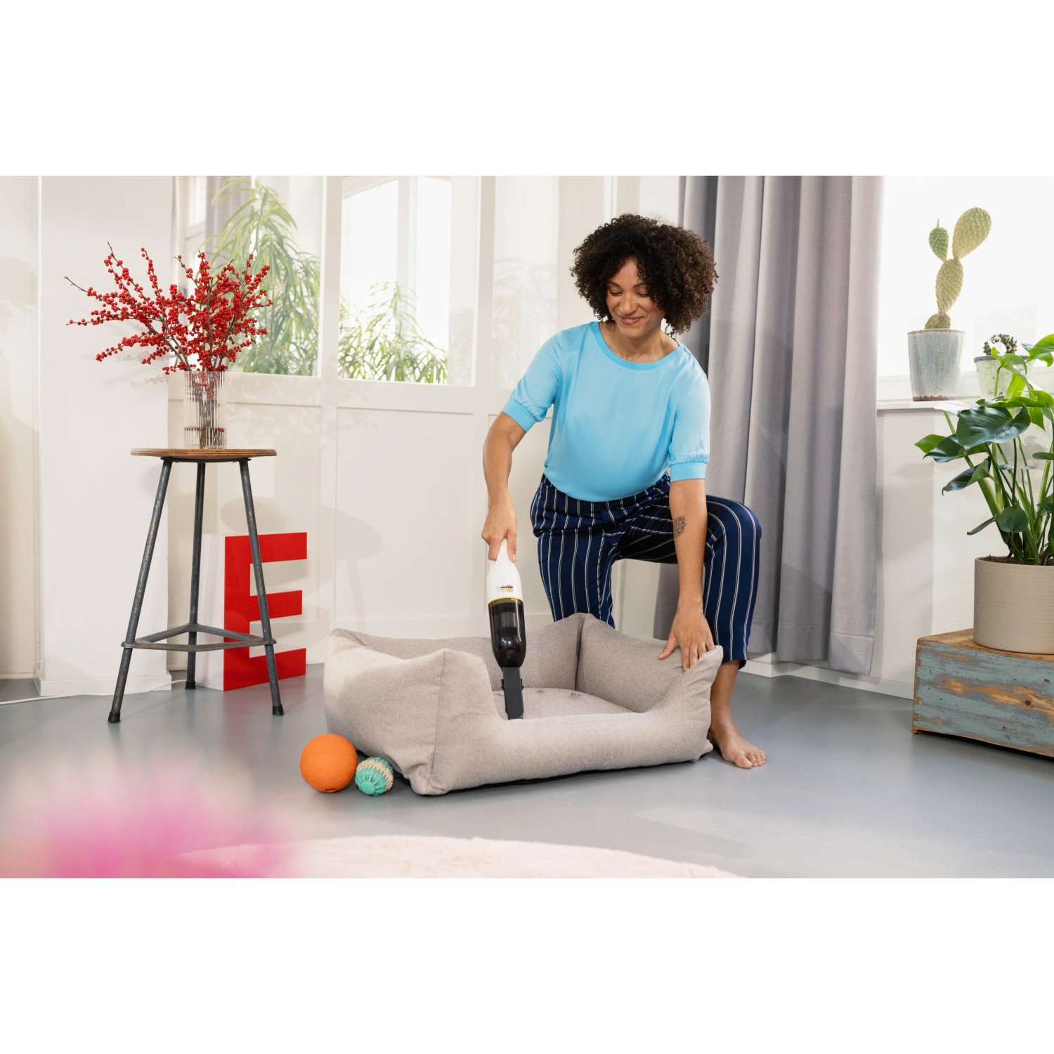 Donna aspira cuccia con aspirapolvere portatile a batteria Kärcher CVH 2. Aspirabriciole compatto per peli di animali.