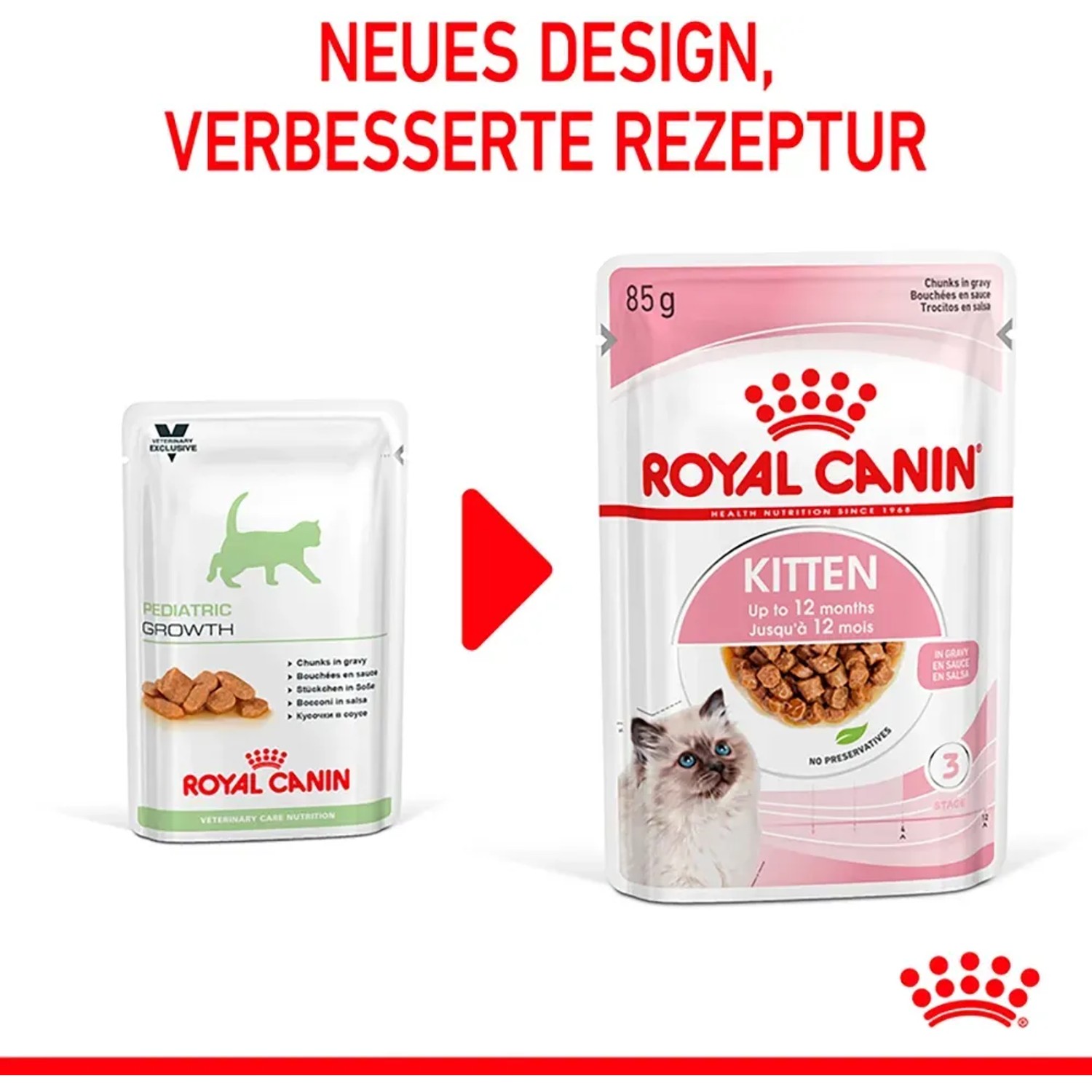 Royal Canin Kitten cibo umido in salsa, 85g, nuovo design. Alimento per gatti fino a 12 mesi.