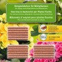 Concime in bastoncini OBI per piante fiorite, 30 pezzi per fioriture rigogliose.
