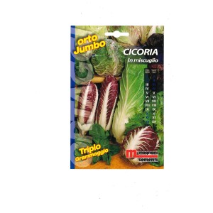 Confezione di semi per varietà miste di cicoria, ideale per coltivare erbe aromatiche.