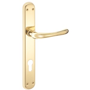 Set maniglia per porta dorata per interni.