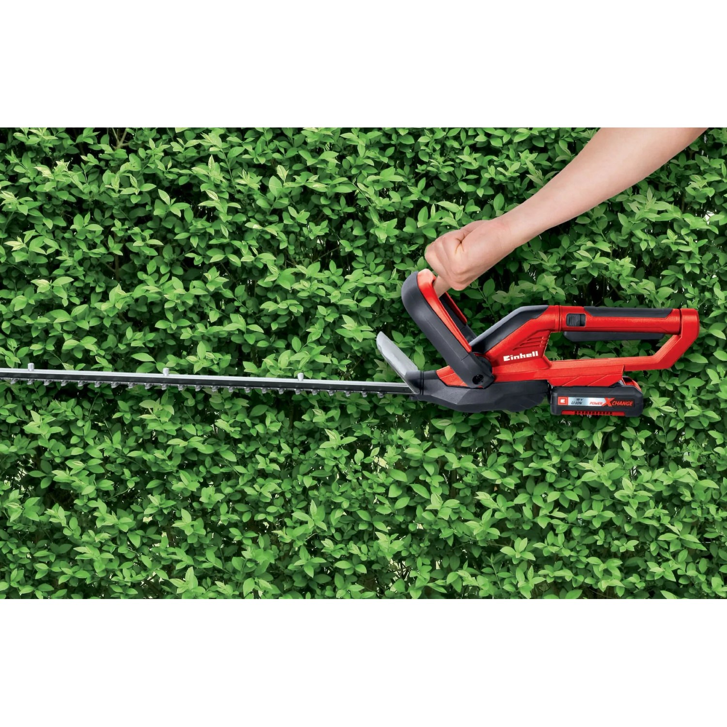 Tagliasiepi a batteria Einhell Power X-Change GC-CH 1855/1 Li Solo in uso.