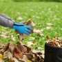 Guanto da lavoro Allwetter taglia 10 in azione: mani raccolgono foglie in giardino.