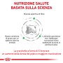 Illustrazione di t.b.t. cibo secco per cani con informazioni su fibre e valori nutrizionali.