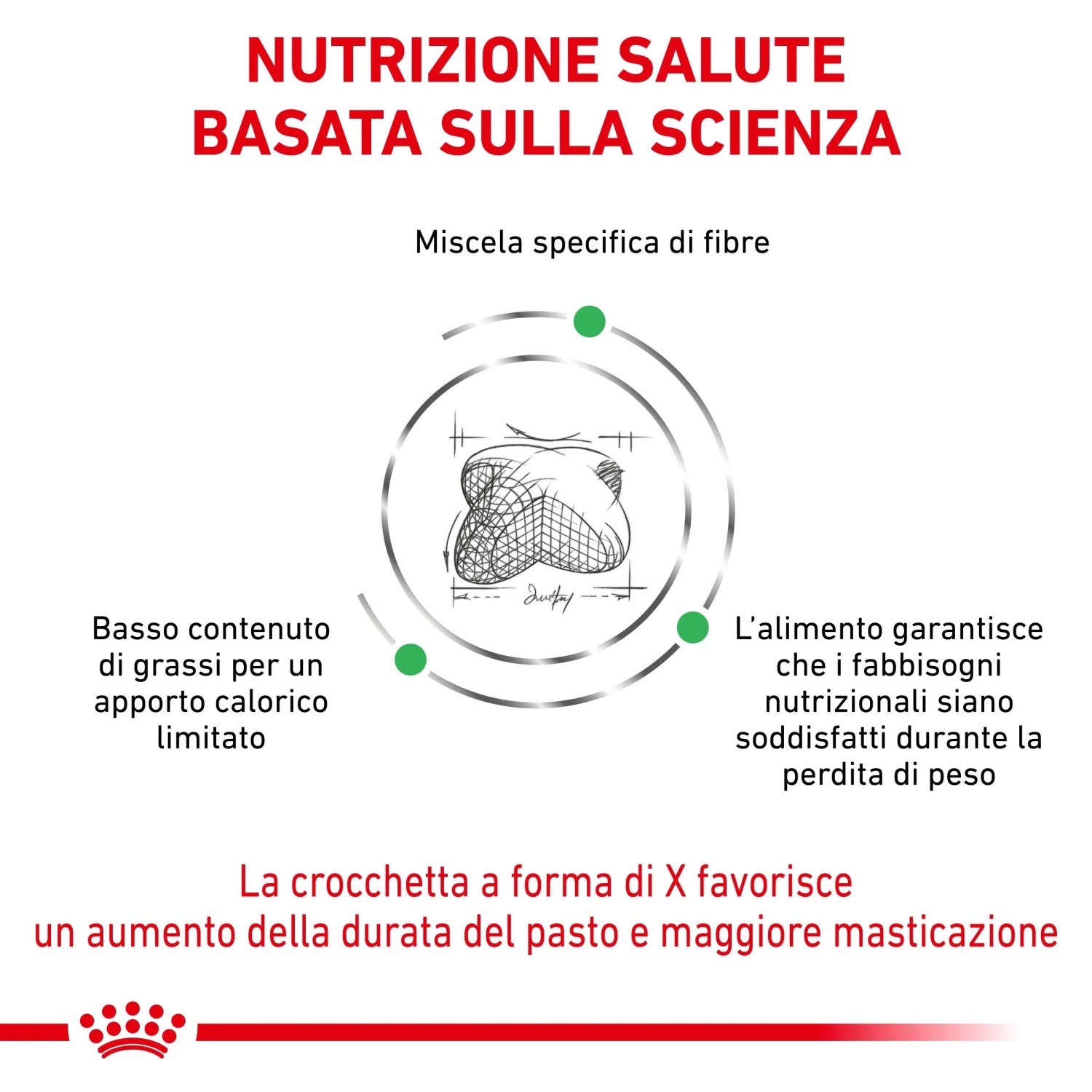 Illustrazione di t.b.t. cibo secco per cani con informazioni su fibre e valori nutrizionali.