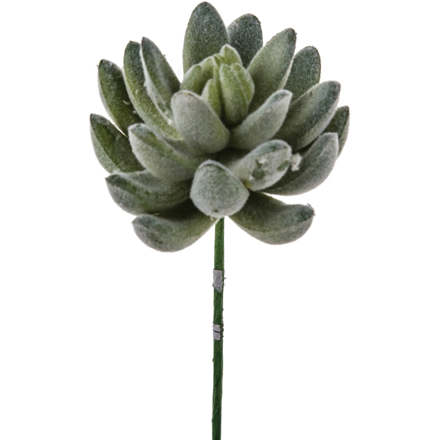 Euforbia Cactus (70 cm) | Acquista la migliore pianta artificiale Euforbia Cactus (70 cm) | Acquista la migliore pianta artificiale