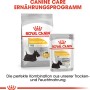 Royal Canin Dermacomfort Mini cibo secco e umido per cani con pelle sensibile.