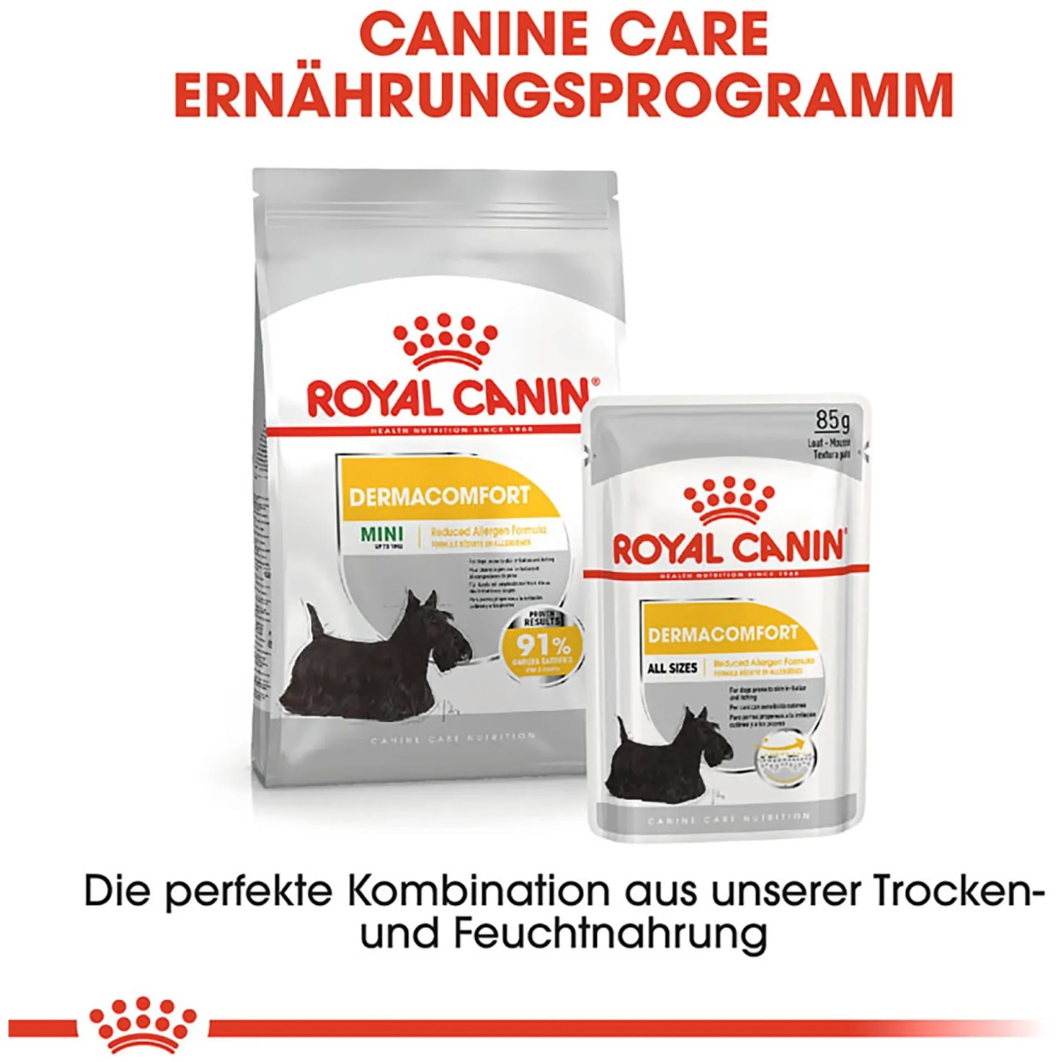 Royal Canin Dermacomfort Mini cibo secco e umido per cani con pelle sensibile.