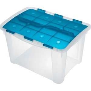 Contenitore trasparente con coperchio blu. Ideale per lo stoccaggio.