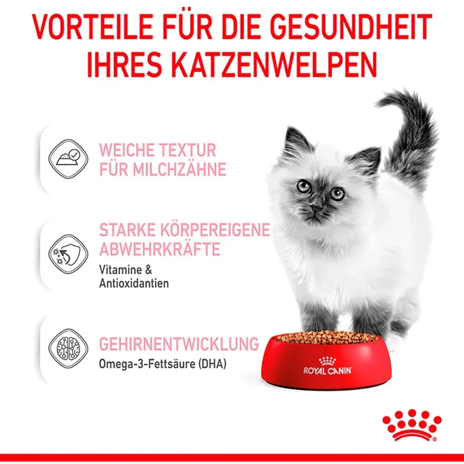 Royal Canin Kitten cibo umido in salsa con gatto e ciotola.