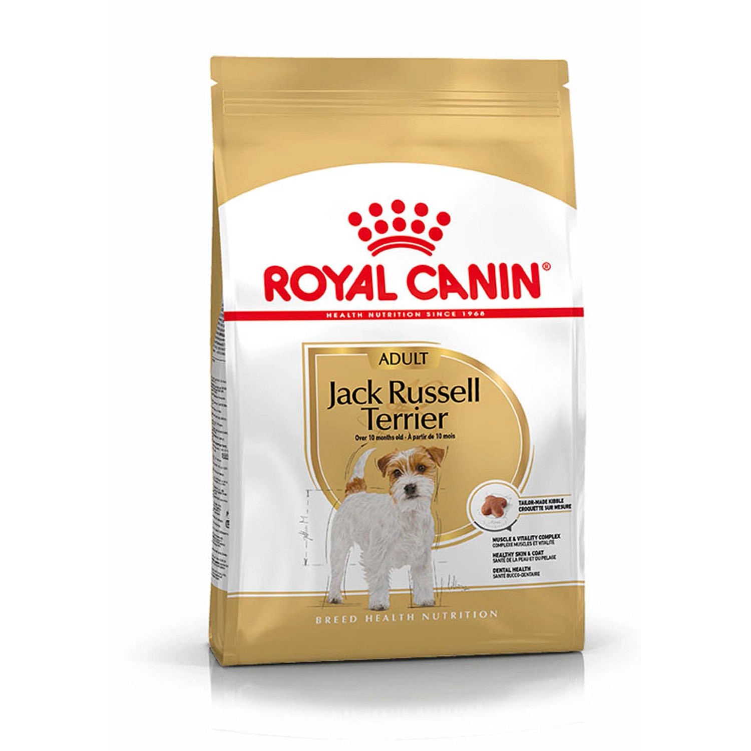Royal Canin Jack Russell Terrier Adult cibo secco 1.5kg in sacchetto dorato.
