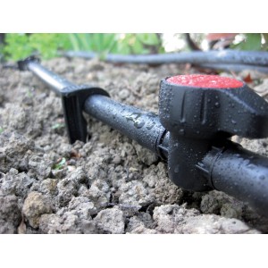 Sistema di irrigazione: Tubo nero con valvola rossa per microirrigazione.