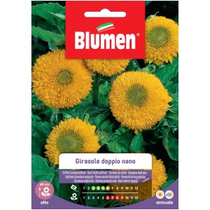 Confezione di semi di girasole nano doppio 't.b.t.' per aiuole colorate.