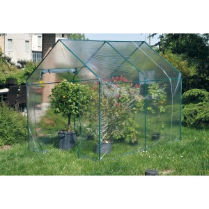 Piccola serra in pellicola con piante in giardino.