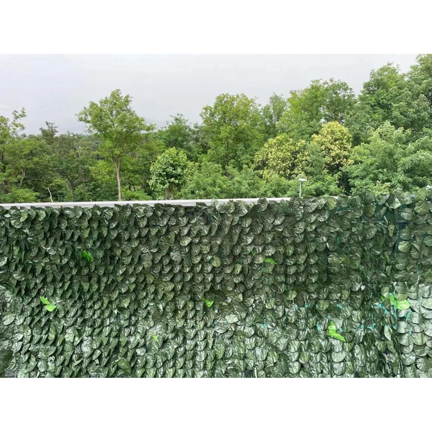 Tappeto di foglie verdi t.b.t. come schermo per la privacy e decorazione in giardino.