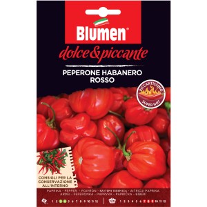 Confezione di semi per peperoncino Habanero rosso "dolce & piccante" di Blumen. Peperoncino piccante per l'orto.