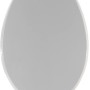 Sedile WC t.b.t. grigio, forma ovale.