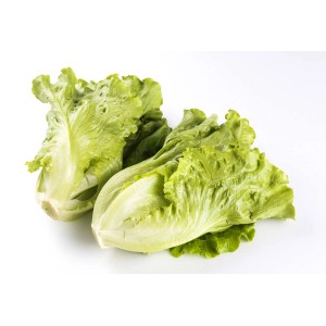 Lattuga fresca e verde, ideale per insalate e piatti di verdure.