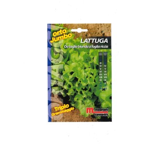 Confezione di semi per lattuga da taglio 'Lattuga', foglie ricce verde chiaro.