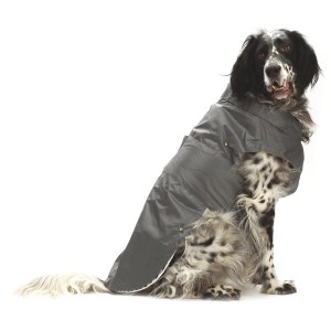 Cane con impermeabile grigio t.b.t. della categoria abbigliamento per cani.